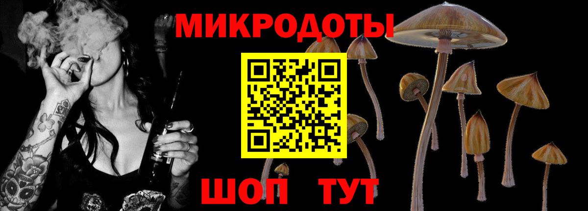 Псилоцибиновые грибы прущие грибы Аргун