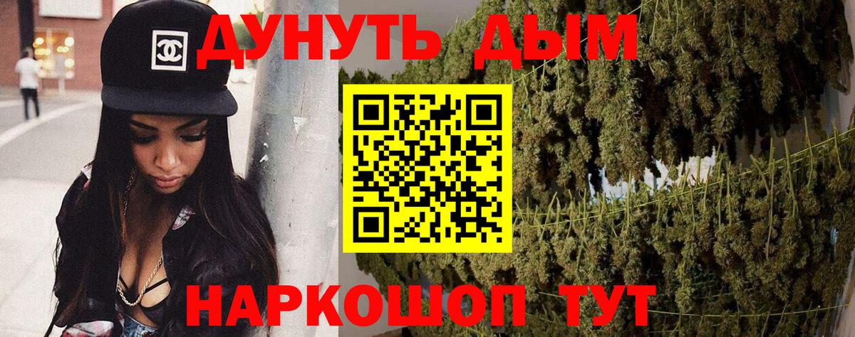 Конопля конопля Аргун